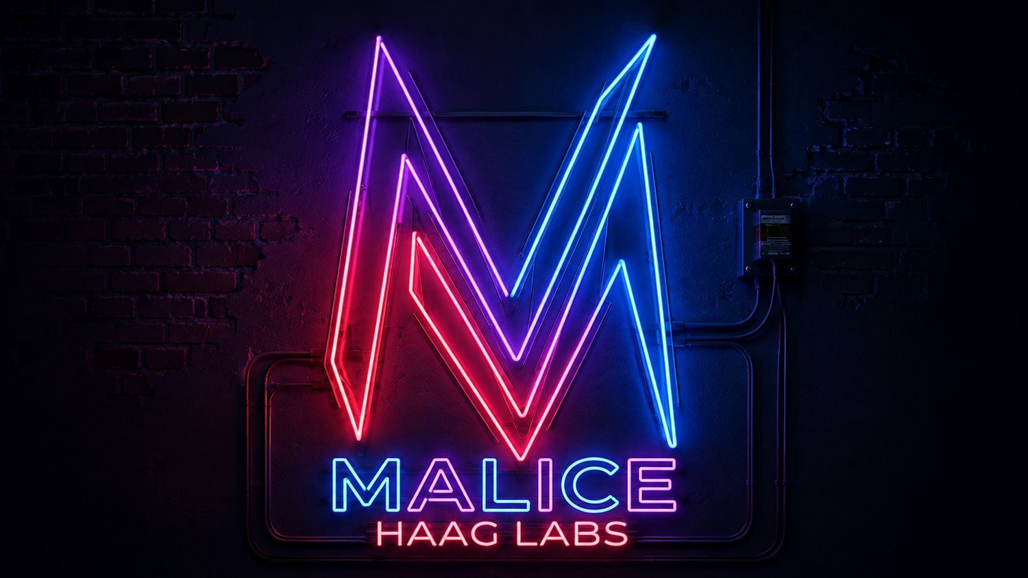 Malice — Haag Labs
